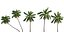 Bundle 04 – Resort plants