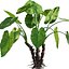 Bundle 04 – Resort plants