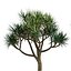 Bundle 04 – Resort plants