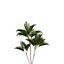 Bundle 04 – Resort plants
