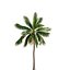 Bundle 04 – Resort plants