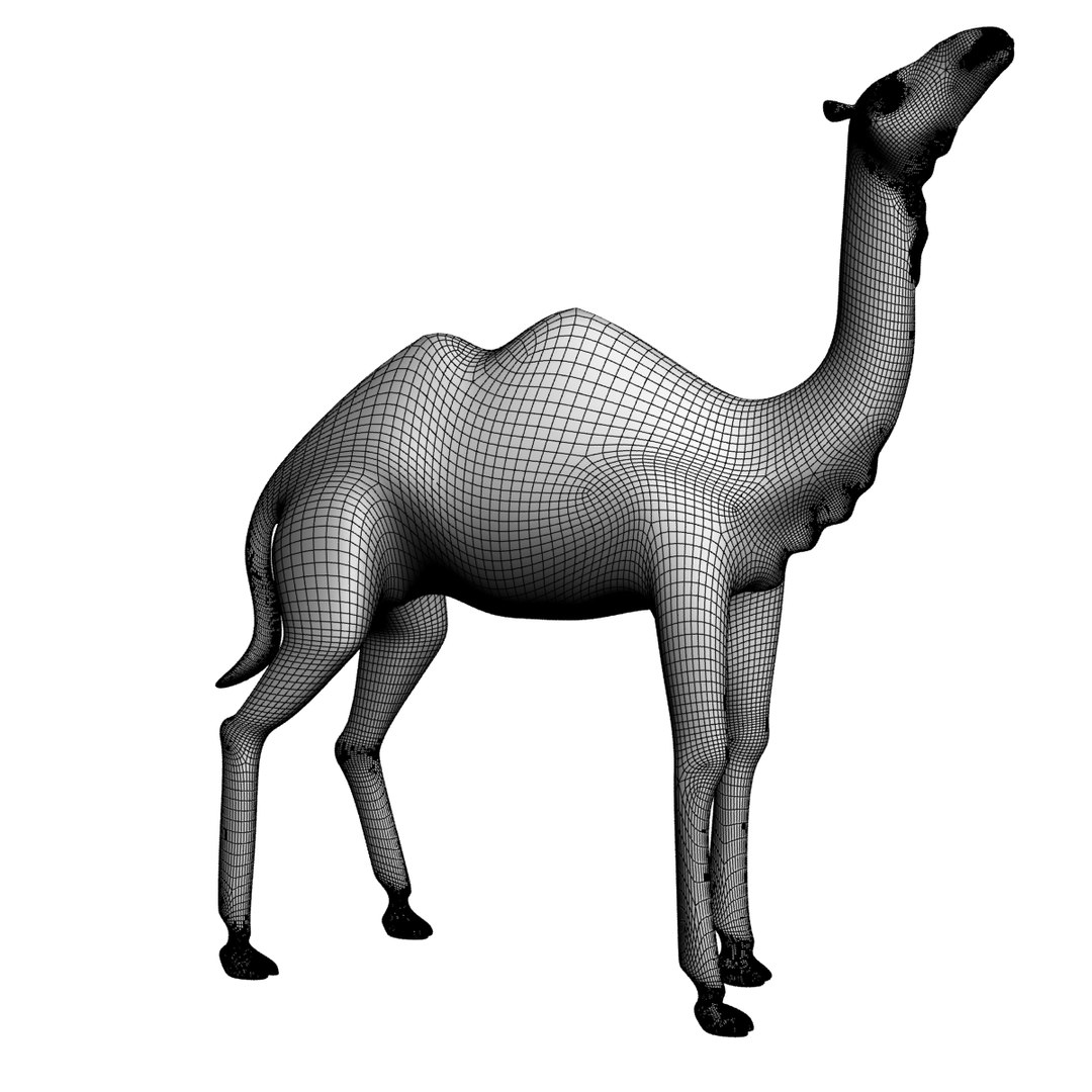 Figurine Camel X