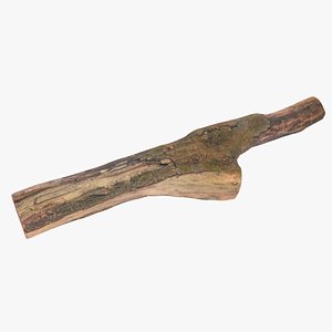 3D log asset unity