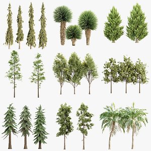 Premium Tree Collection Bundle 150