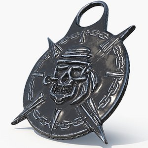 Pirate artifact