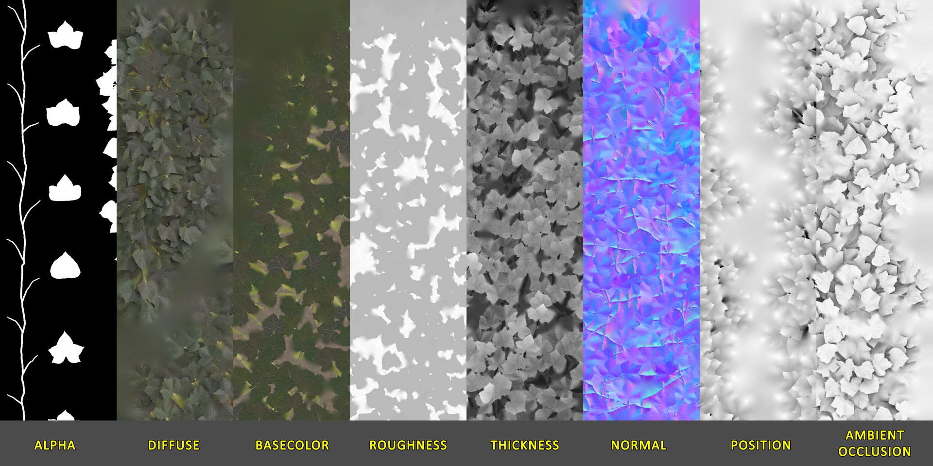 Ivy Plant Nature Model - TurboSquid 1651682