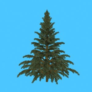 pinetree01