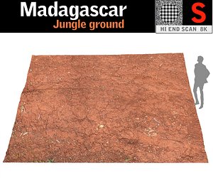 madagascar jungle ground 3D model