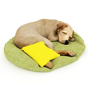 Dog 3D
