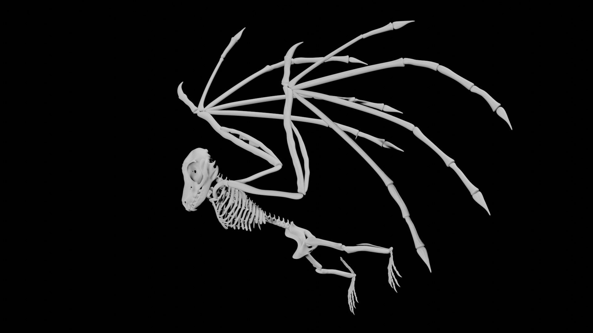 3D Rigged Bat Skeleton - TurboSquid 1839722