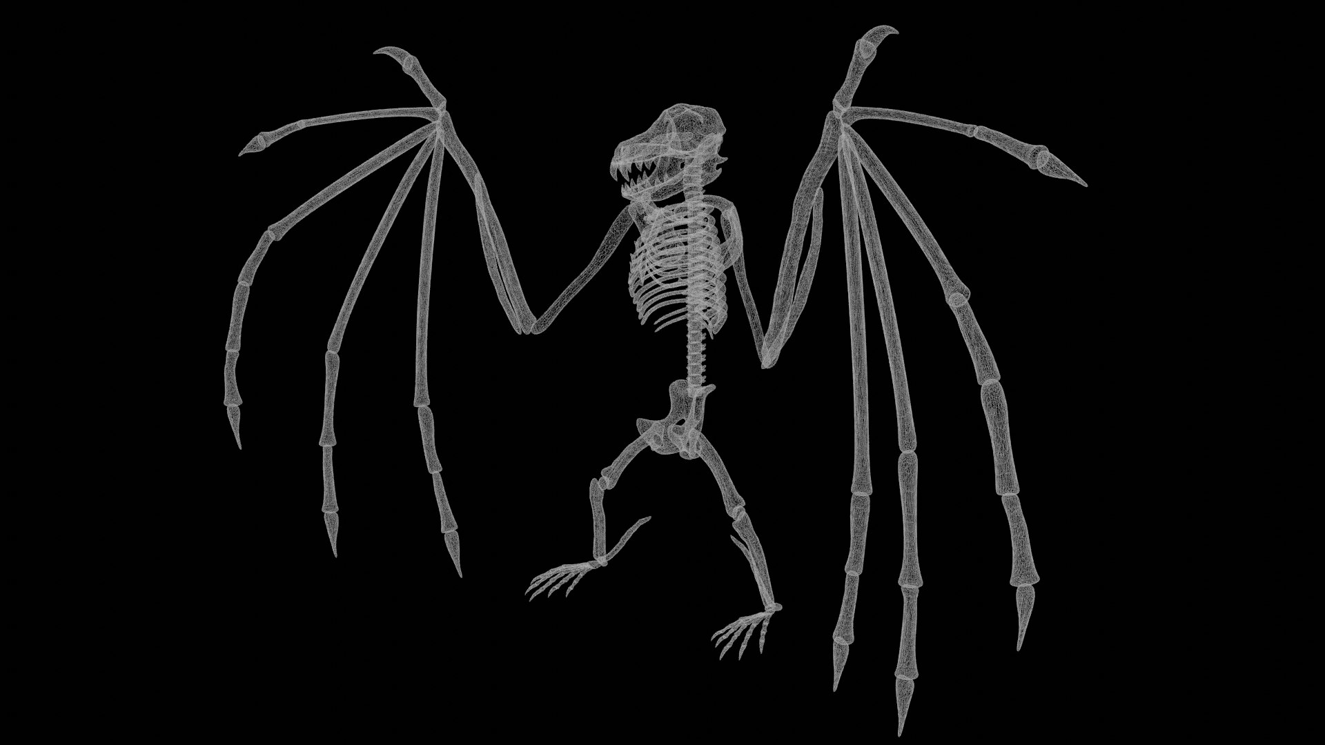 3D Rigged Bat Skeleton - TurboSquid 1839722