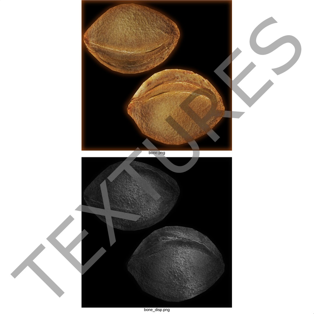 3ds max apricot cross section https://p.turbosquid.com/ts-thumb/S1/61diyH/4XkWk9Lo/apricotcrosssection3dmodel23/jpg/1424713687/1920x1080/fit_q87/87f819e302f0f2071095033b8703042b63f8ac56/apricotcrosssection3dmodel23.jpg