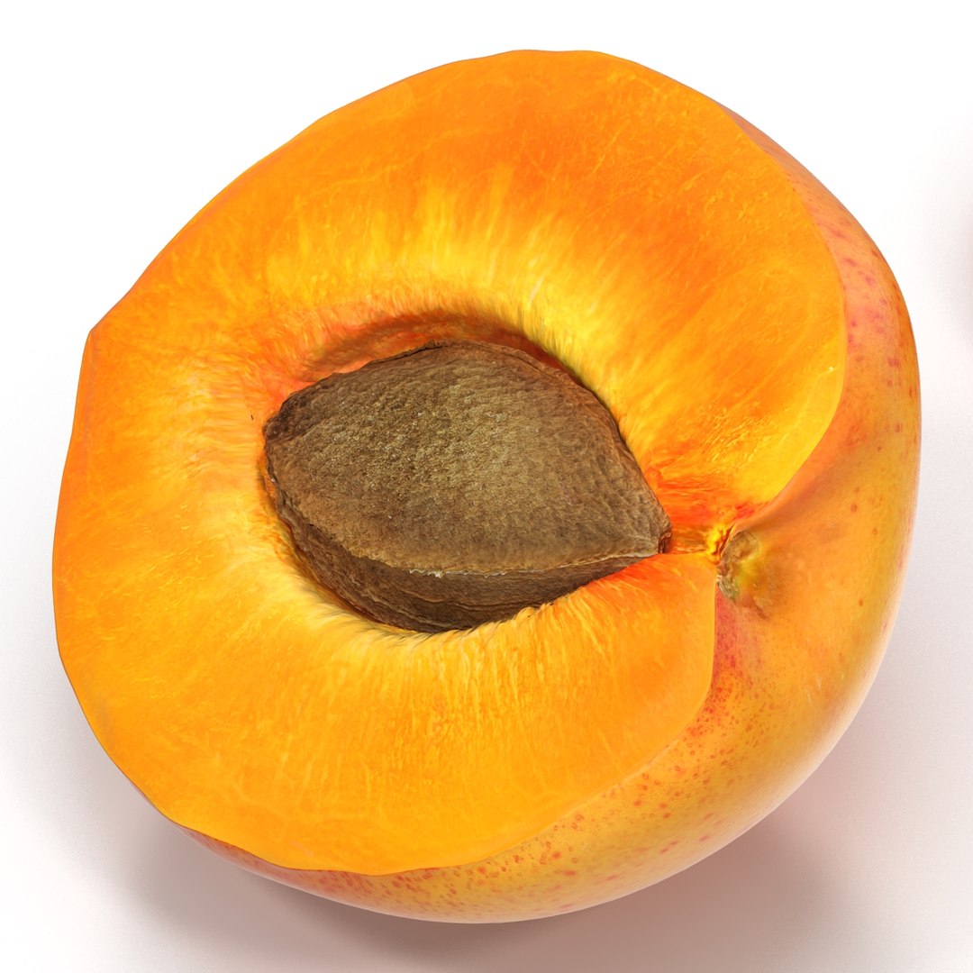 3ds max apricot cross section https://p.turbosquid.com/ts-thumb/S1/61diyH/8MGlQogD/apricotcrosssection3dmodel02/jpg/1424713686/1920x1080/fit_q87/c13f58f99a8423adf9b4266357dcda8e13b0073e/apricotcrosssection3dmodel02.jpg