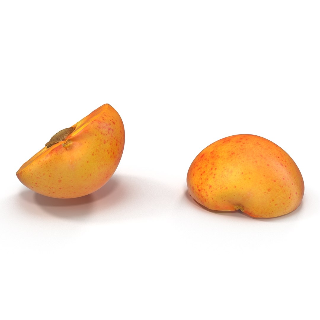 3ds max apricot cross section https://p.turbosquid.com/ts-thumb/S1/61diyH/BouNuQNz/apricotcrosssection3dmodel09/jpg/1424713687/1920x1080/fit_q87/58804f8905d5b170e3bed49b8d1cfd1302d19f6a/apricotcrosssection3dmodel09.jpg