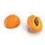 Apricot Cross Section
