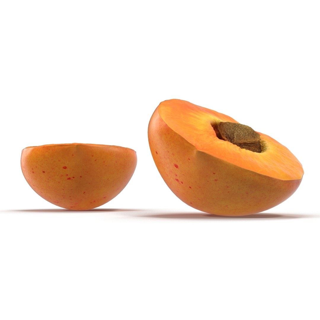 3ds max apricot cross section https://p.turbosquid.com/ts-thumb/S1/61diyH/DeIDsFF4/apricotcrosssection3dmodel15/jpg/1424713687/1920x1080/fit_q87/d772ca6d26135048ef34351b59dd6e7cb4936dec/apricotcrosssection3dmodel15.jpg