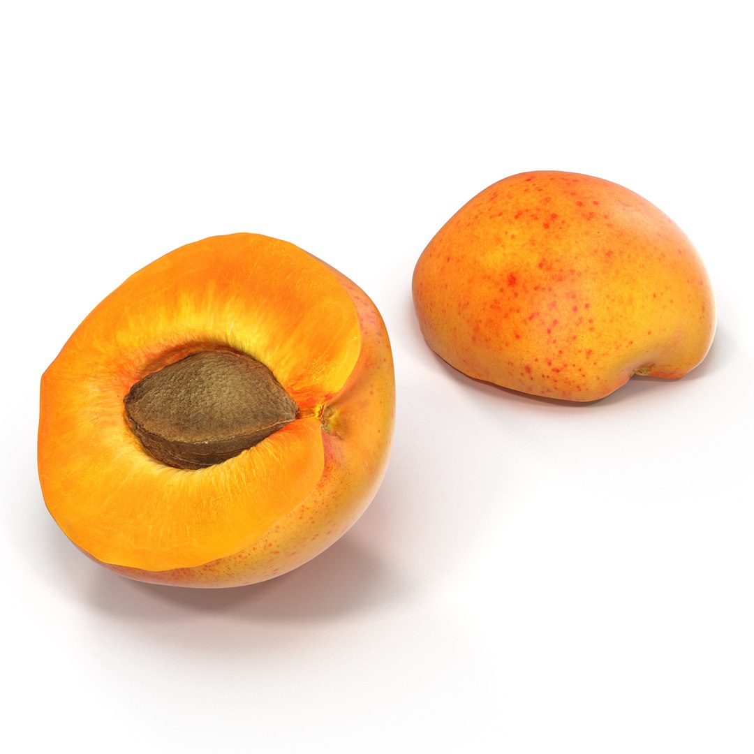 Apricot Cross Section 3D model preview