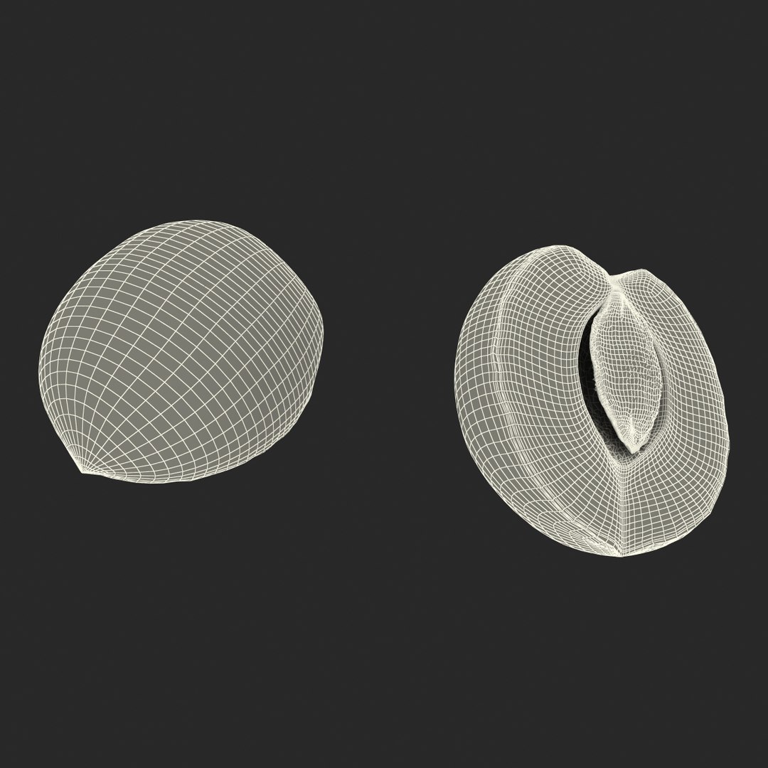 3ds max apricot cross section https://p.turbosquid.com/ts-thumb/S1/61diyH/Ey8bImxr/apricotcrosssection3dmodel25/jpg/1424713688/1920x1080/fit_q87/258dbaf56c78dea10c74e3e58886194ccb024211/apricotcrosssection3dmodel25.jpg