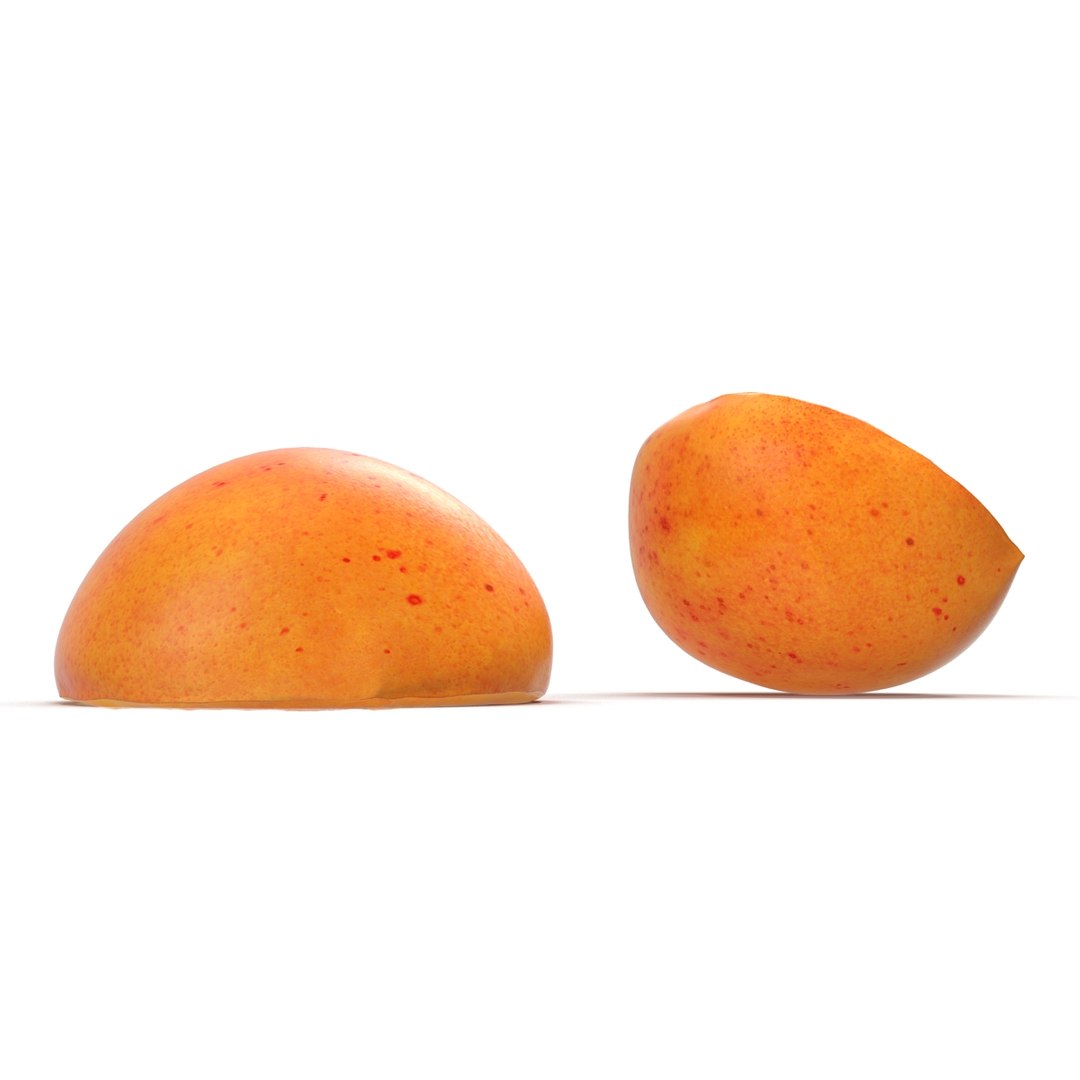 3ds max apricot cross section https://p.turbosquid.com/ts-thumb/S1/61diyH/GSjPvH0y/apricotcrosssection3dmodel14/jpg/1424713687/1920x1080/fit_q87/2062156f3414ad62f10a0c404de64e4a98a22f47/apricotcrosssection3dmodel14.jpg