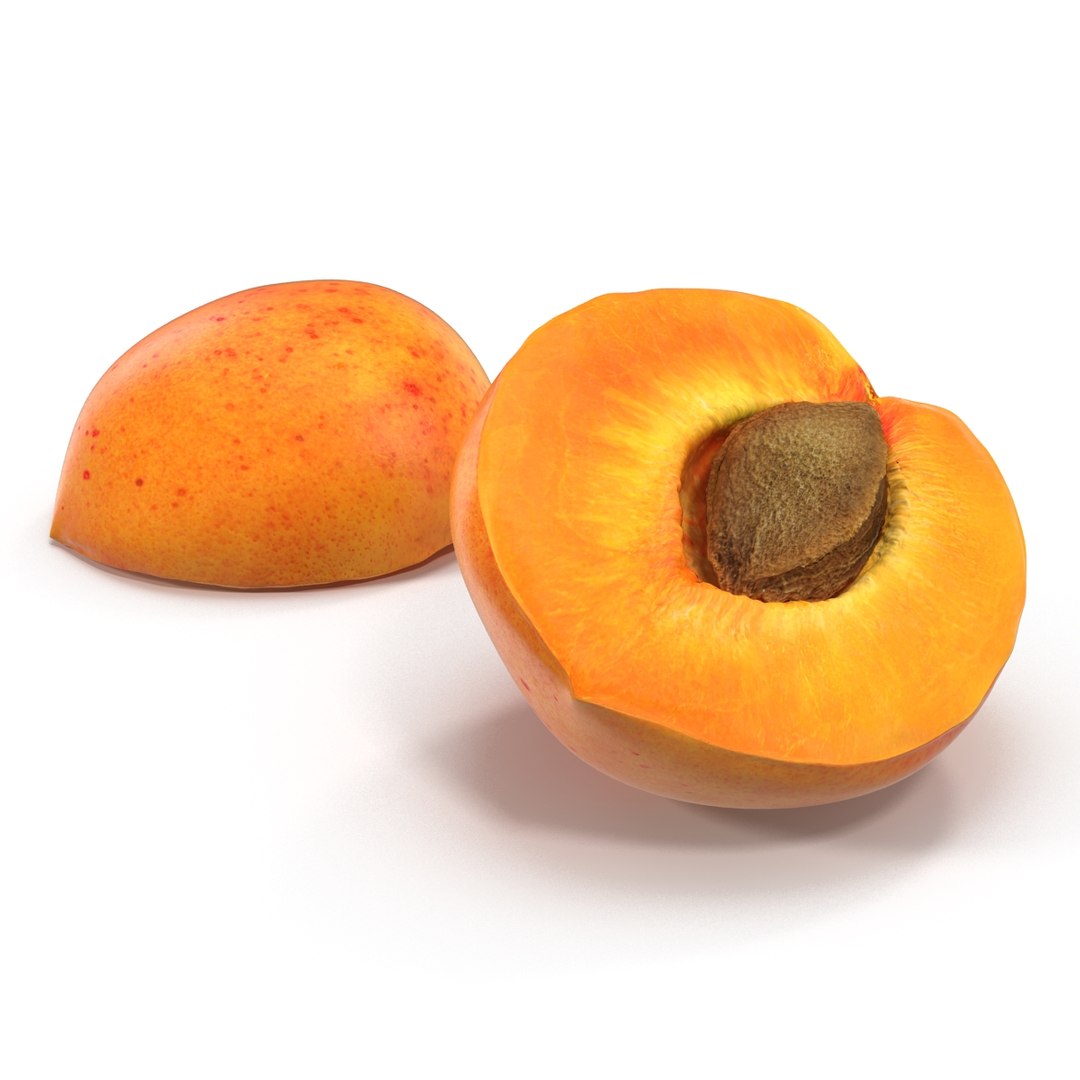 3ds max apricot cross section https://p.turbosquid.com/ts-thumb/S1/61diyH/LADgkDMU/apricotcrosssection3dmodel11/jpg/1424713687/1920x1080/fit_q87/f964db9997ba7fb940c29568b8237846c99ec149/apricotcrosssection3dmodel11.jpg
