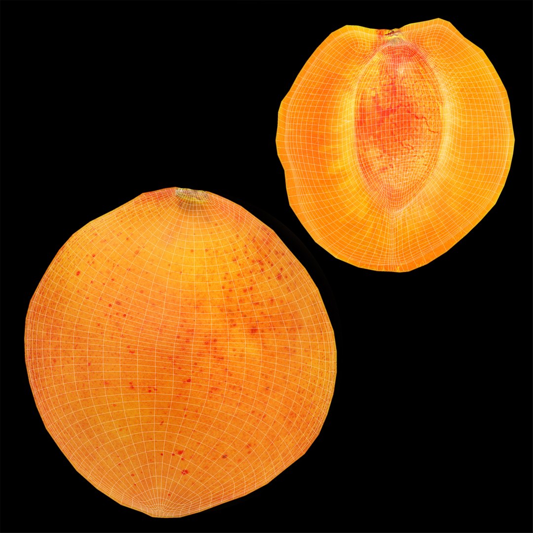 3ds max apricot cross section https://p.turbosquid.com/ts-thumb/S1/61diyH/QuRJJcnK/apricotcrosssection3dmodel20/jpg/1424713687/1920x1080/fit_q87/1ee64576cb445860bc463ac0fbe76e61f561f8db/apricotcrosssection3dmodel20.jpg