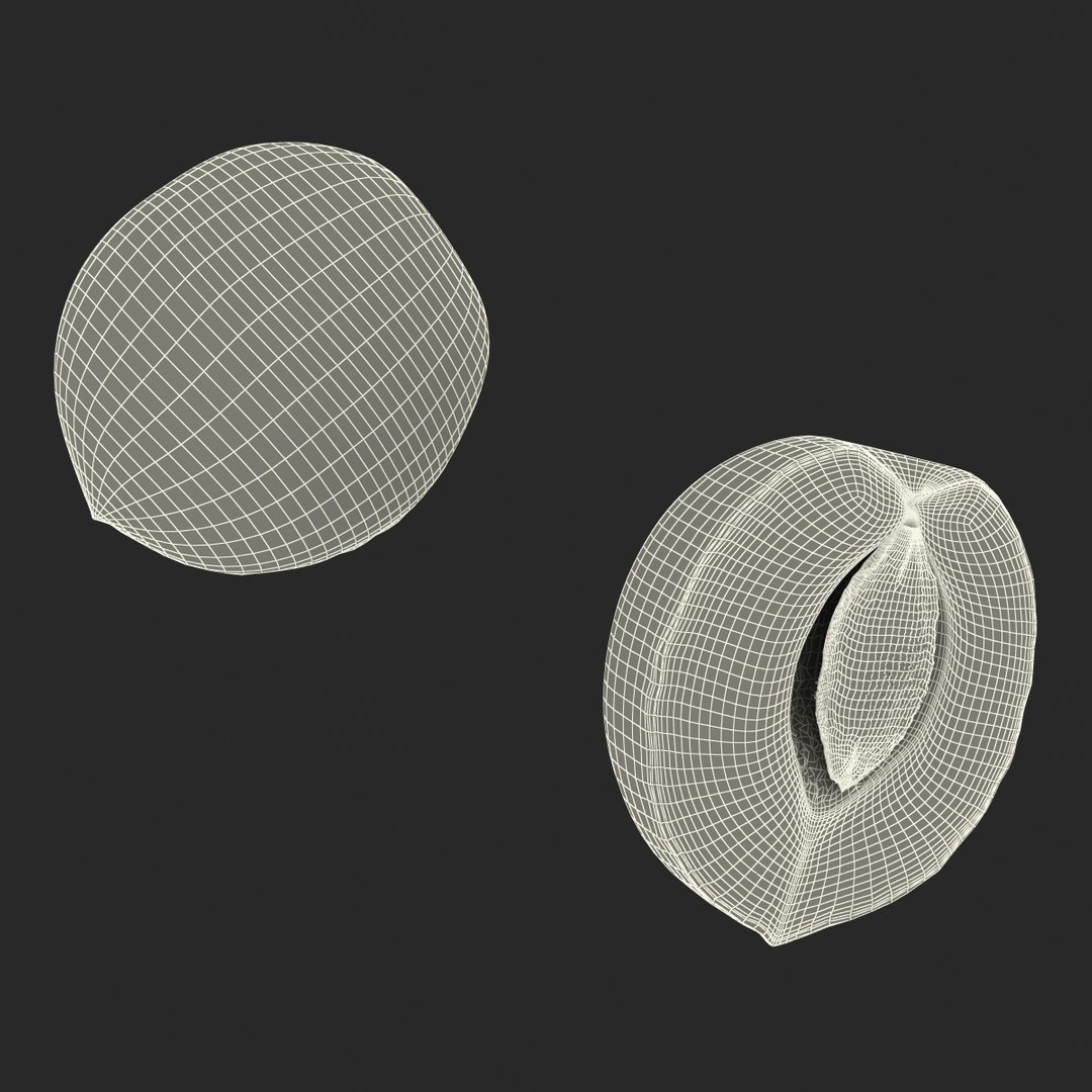 3ds max apricot cross section https://p.turbosquid.com/ts-thumb/S1/61diyH/W4ZtcBu8/apricotcrosssection3dmodel27/jpg/1424713688/1920x1080/fit_q87/16b8d8b3e79917809e8641b30e747a31dd33aa14/apricotcrosssection3dmodel27.jpg
