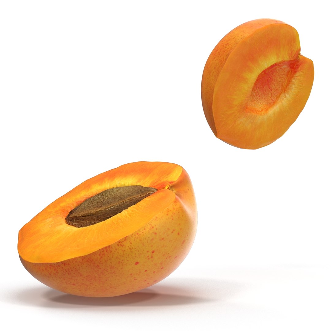 3ds max apricot cross section https://p.turbosquid.com/ts-thumb/S1/61diyH/c44NAWc5/apricotcrosssection3dmodel17/jpg/1424713687/1920x1080/fit_q87/d4929de12500875e41d8cc723ed927d30315f43f/apricotcrosssection3dmodel17.jpg