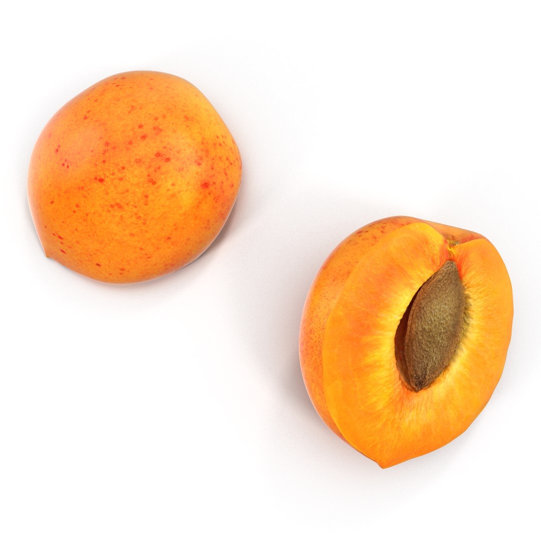 3ds max apricot cross section https://p.turbosquid.com/ts-thumb/S1/61diyH/d9AvRtzc/apricotcrosssection3dmodel12/jpg/1424713687/1920x1080/fit_q87/627f6ea1aeeaac23f2a990a690006896170d455f/apricotcrosssection3dmodel12.jpg