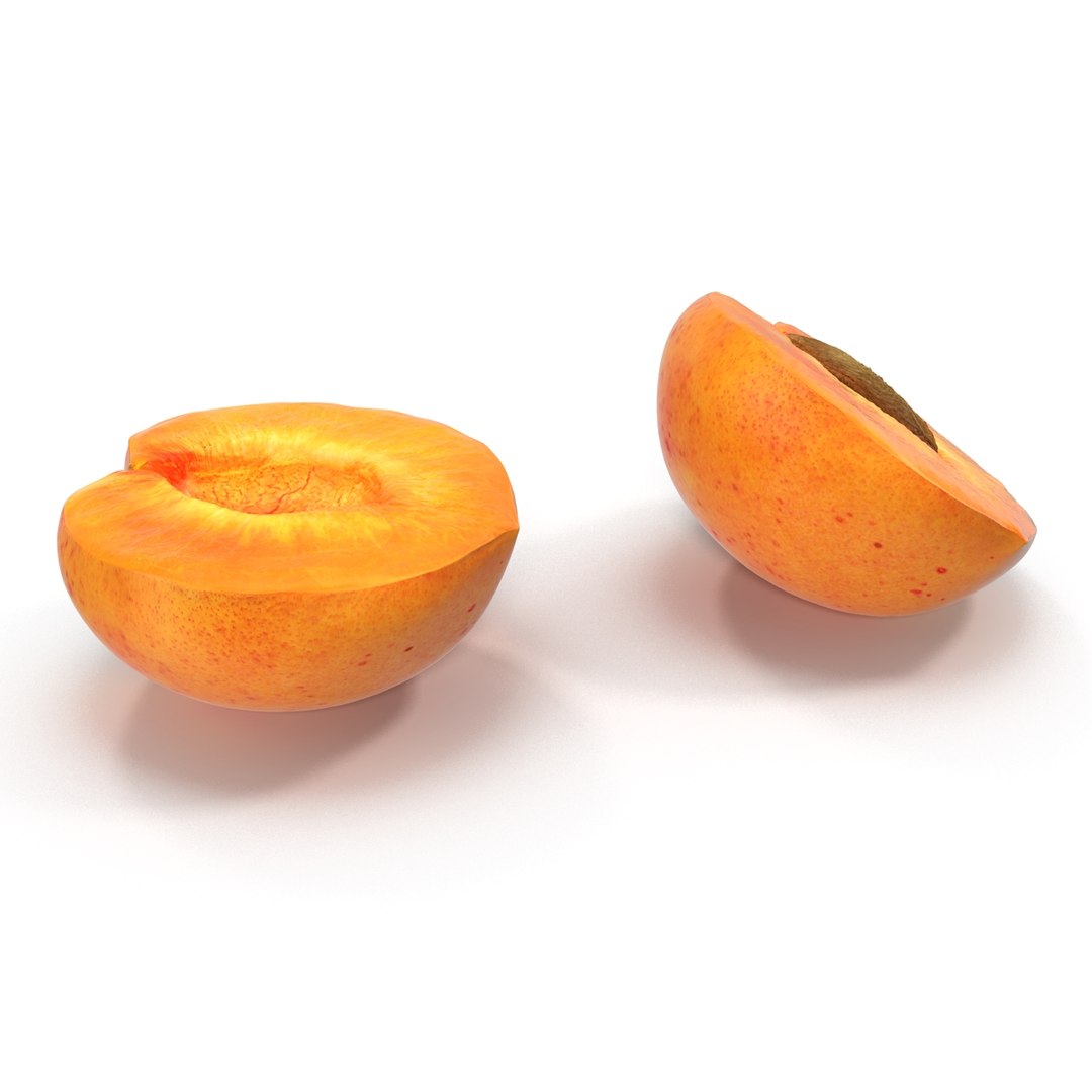 3ds max apricot cross section https://p.turbosquid.com/ts-thumb/S1/61diyH/mOfxmODj/apricotcrosssection3dmodel06/jpg/1424713687/1920x1080/fit_q87/b7f607851636be01b70bf96fd7b3b23035364fa2/apricotcrosssection3dmodel06.jpg