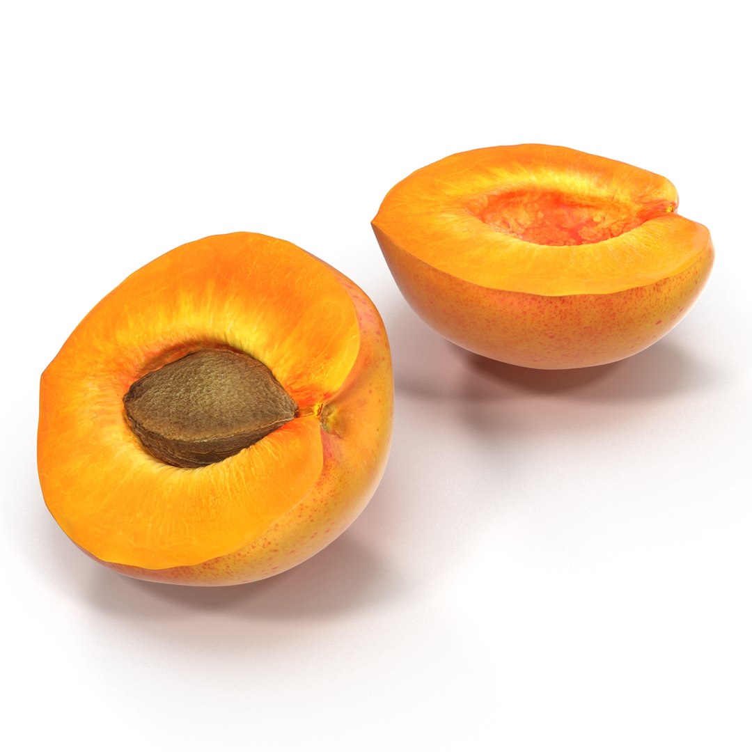 3ds max apricot cross section https://p.turbosquid.com/ts-thumb/S1/61diyH/meji0czP/apricotcrosssection3dmodel10/jpg/1424713687/1920x1080/fit_q87/59836e46b0c822125fc3e13c53fb3f10f8390482/apricotcrosssection3dmodel10.jpg