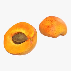 3ds max apricot cross section