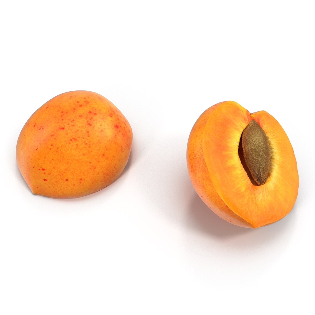 3ds max apricot cross section https://p.turbosquid.com/ts-thumb/S1/61diyH/xlbyrWRS/apricotcrosssection3dmodel05/jpg/1424713686/1920x1080/fit_q87/6f4cf079b7dee761a085946c60ee616836bd9dd5/apricotcrosssection3dmodel05.jpg
