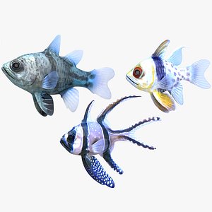 Banggai  Orbiculate and Spotted Cardinalfish