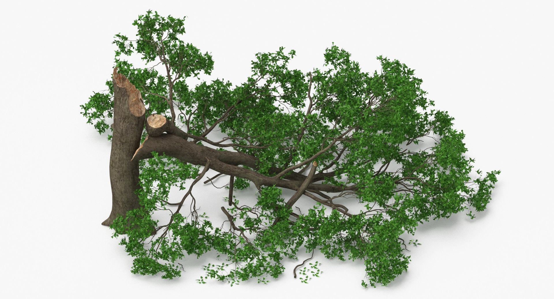 3D Fallen Trees - TurboSquid 2028442
