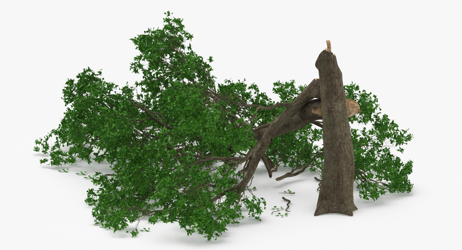 3D Fallen Trees - TurboSquid 2028442