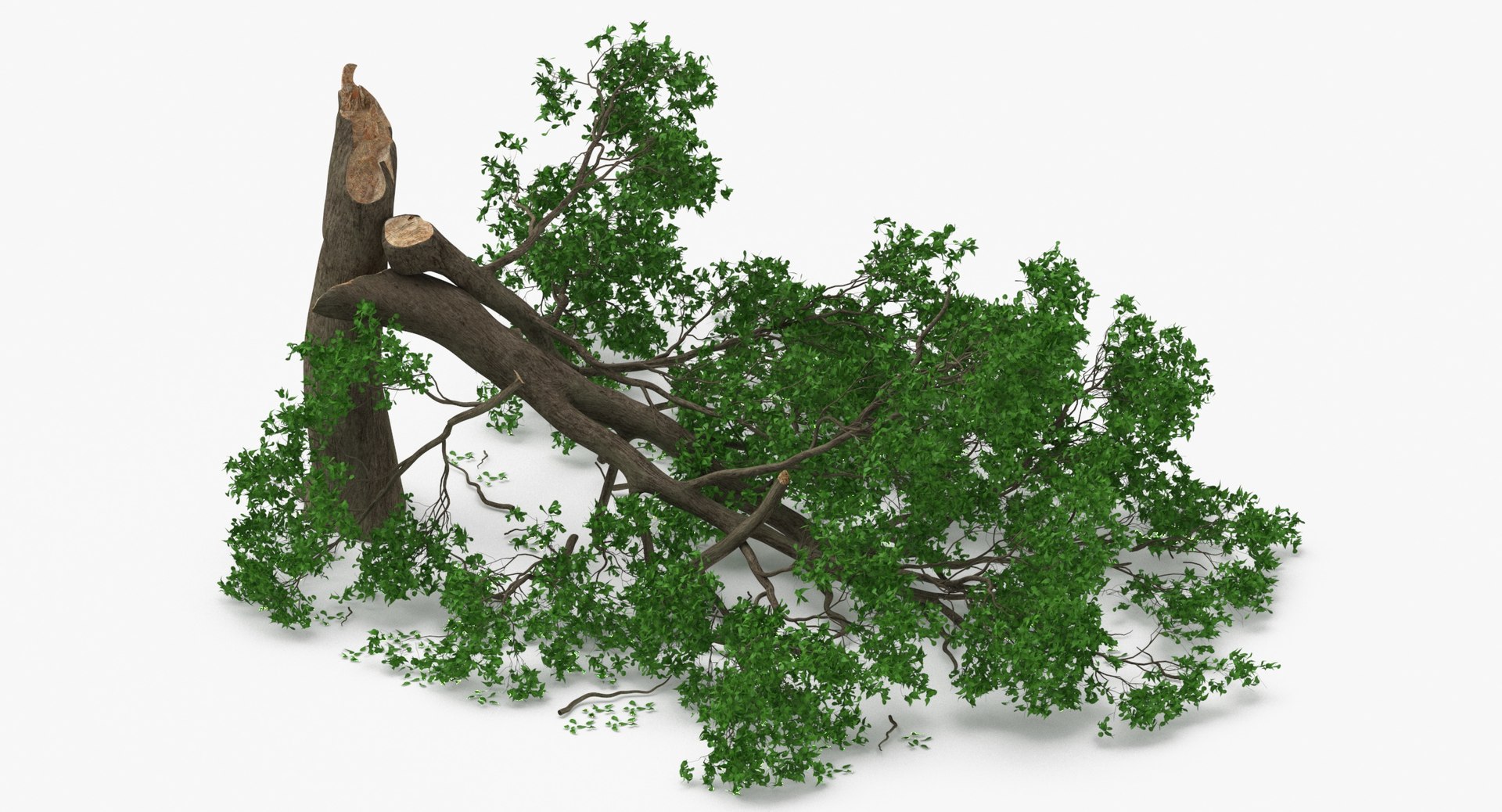 3D Fallen Trees - TurboSquid 2028442