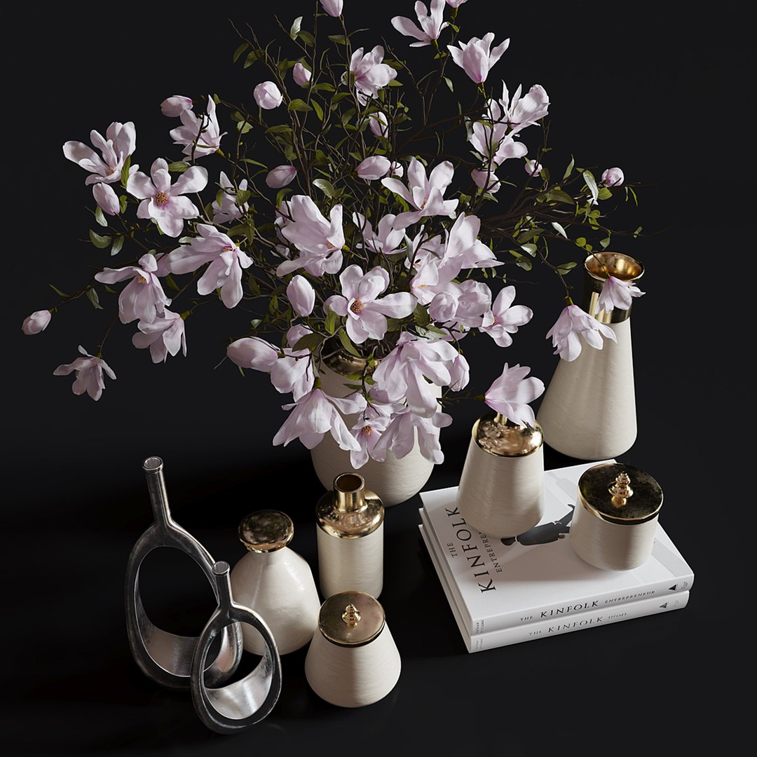 Set    Magnolia and Vases 3D model https://p.turbosquid.com/ts-thumb/S1/EHltkM/Ar/3273128.602794357fc31/jpg/1738896588/1920x1080/fit_q87/169d3772b644a0df3380777eb93009f9185d8b3e/3273128.602794357fc31.jpg