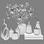 Set    Magnolia and Vases