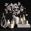 Set    Magnolia and Vases