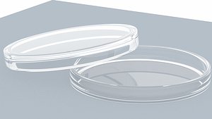 petri dish 3D model