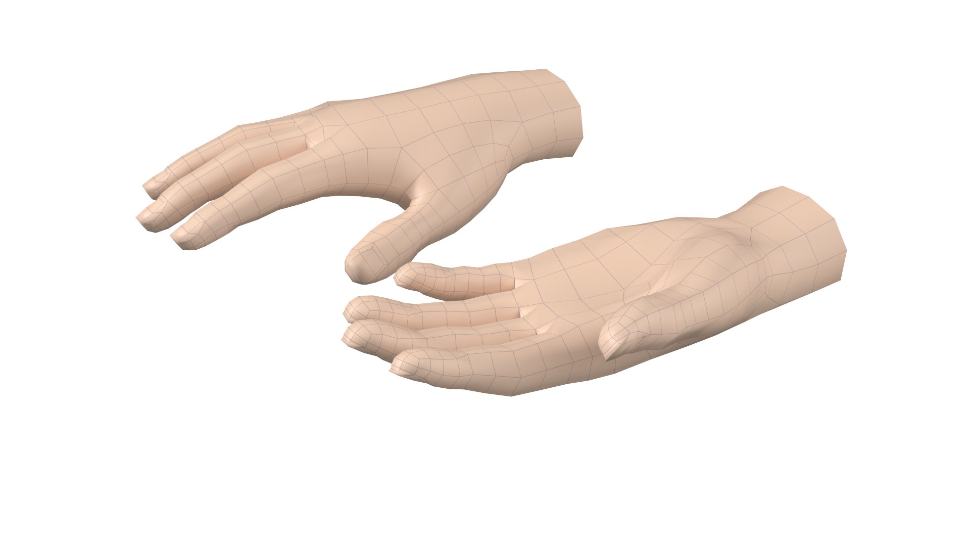 Female Hand Base Mesh 07 3D Model - TurboSquid 2184245