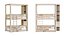 Bunk bed for kids 6
