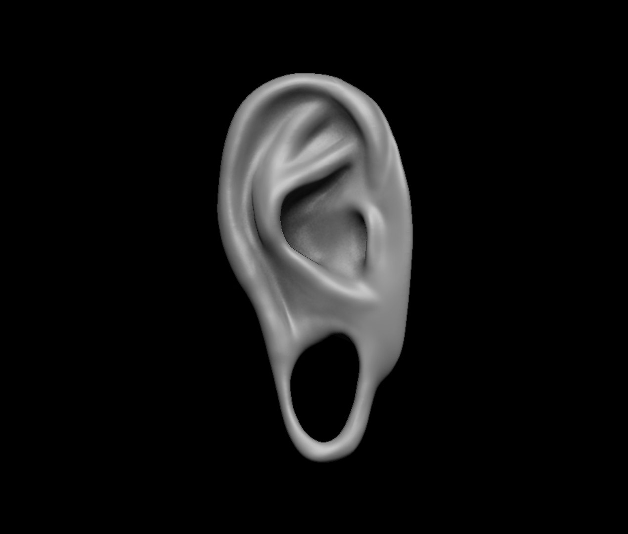 Free Sample 3 Ears 3D Model TurboSquid 1418756