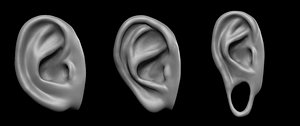 Free sample of 3 EARS with high poly and low poly 3D model