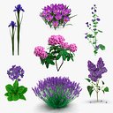 Purple Flowering Plants Collection 5