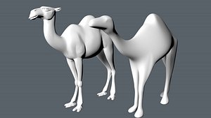 camel 3d model