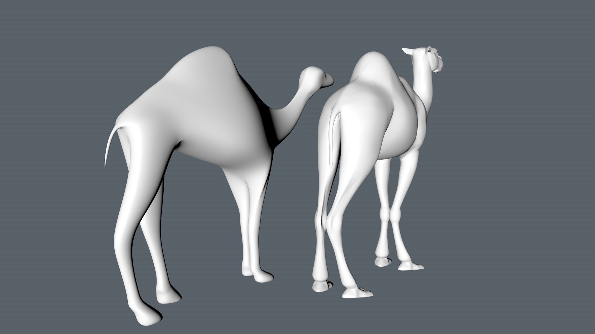 camel animal 3D model https://p.turbosquid.com/ts-thumb/S1/qn024A/a4/3/jpg/1612509519/1920x1080/fit_q87/9066f611e07bdbb56bce14e725c02739fa7ed3e1/3.jpg