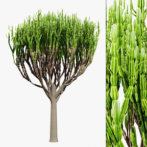 Naga Tree 3D Model 3D