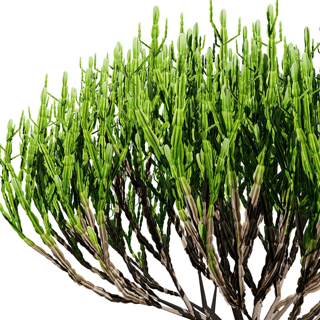 Naga Tree 3D Model 3D - TurboSquid 2307072