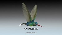 Humming Bird